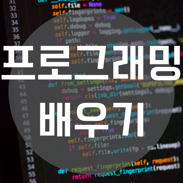  프로그래밍 배우기 어떻게? 어떤 방식으로?