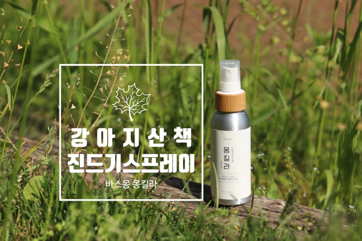  산책할 때 강아지 진드기 퇴치 스프레이 필수예요!