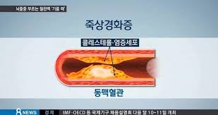 죽상경화증 콜레스테롤원인증상 치료진단검사 수술합병증 간호중재 문헌고찰케이스