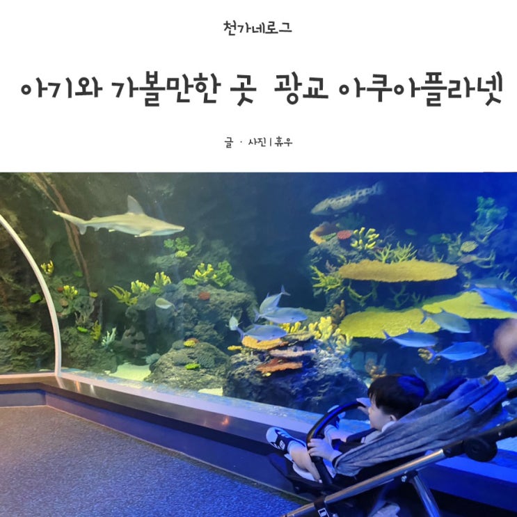  아이와 가볼만한 곳 광교 아쿠아플라넷