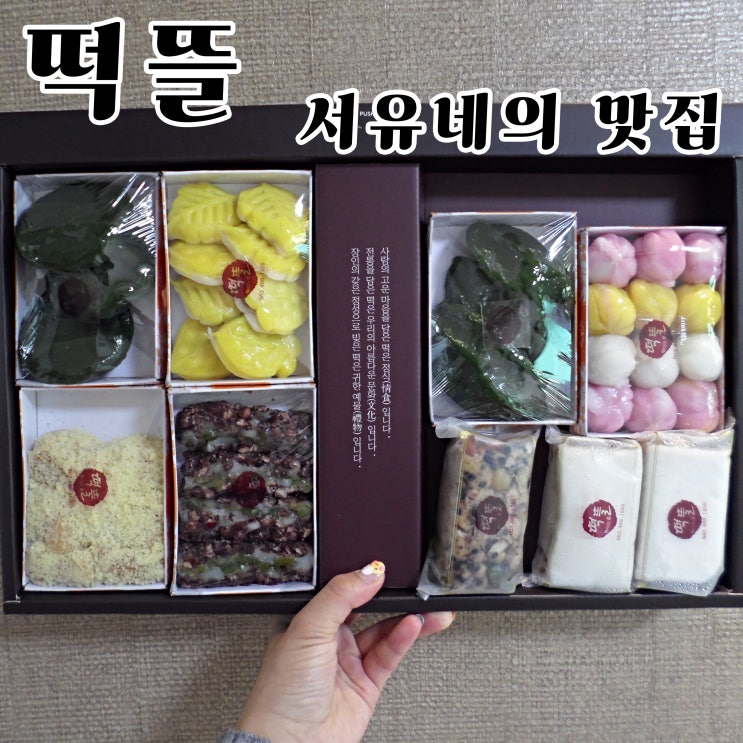  서유네의 맛집일기  군산 - 떡뜰(수송동, 롯데마트 근처, 주차장 정보, 답례용떡, 돌백일떡, 선물용떡)