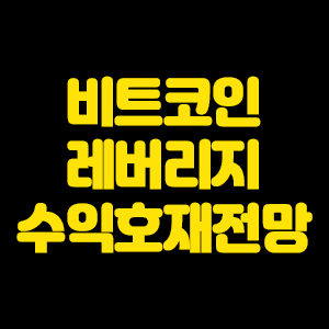  비트코인 레버리지 수익 호재 전망