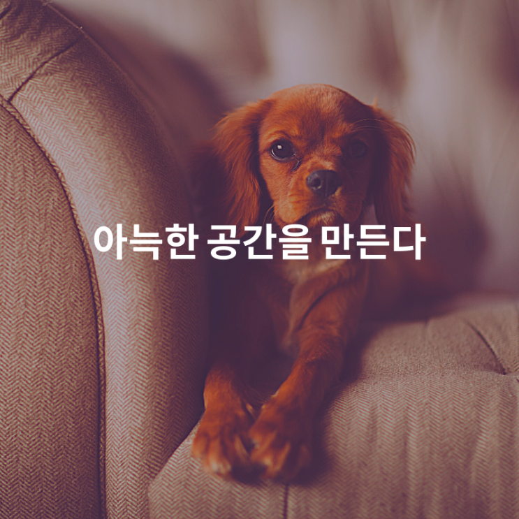  1일 1페이지 ㅡ 60일 아늑한 공간을 만든다