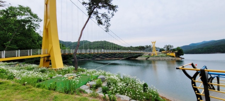  [장성] 장성호 수변길 산책 후기