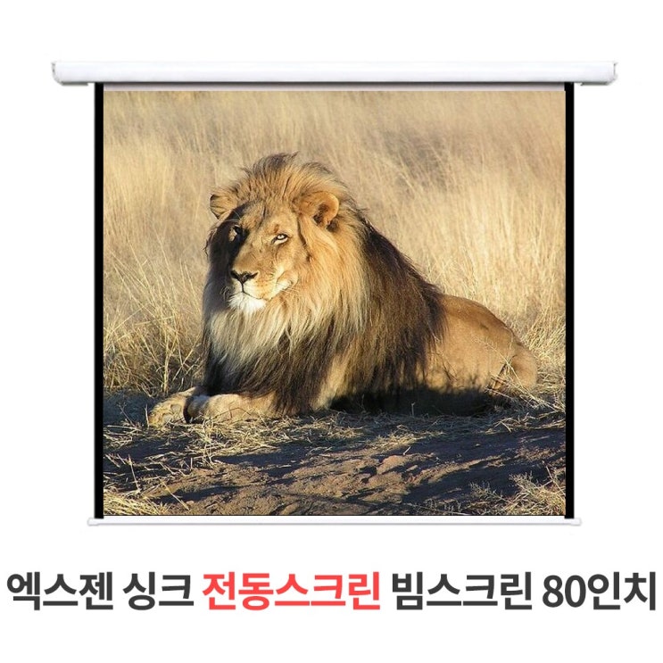 요즘 인기있는 신형 엑스젠 싱크 노출 전동스크린 80인치 빔스크린, 신형 싱크 전동스크린 빔스크린 80인치 추천해요 요즘 인기있는 신형 엑스젠 싱크 노출 전동스크린 80인치 빔스크린, 신형 싱크 전동스크린 빔스크린 80인치 추천해요