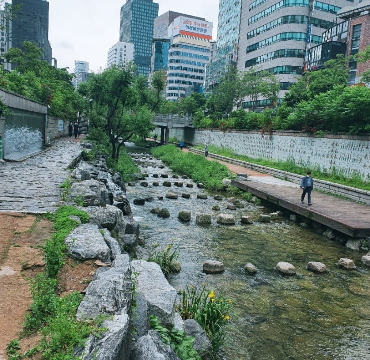  [100일간의 약속] 바디프로필 준비 26일차 D-79 (식단, 운동, 청계천 산책)