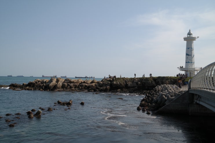  울산 슬도등대, 슬도 바다길, 슬도 유채꽃, 대왕암, 방어진 공동 어판장,욕망의 불꽃 ,메이퀸 드라마 촬영지,제주도 유채꽃   느낌