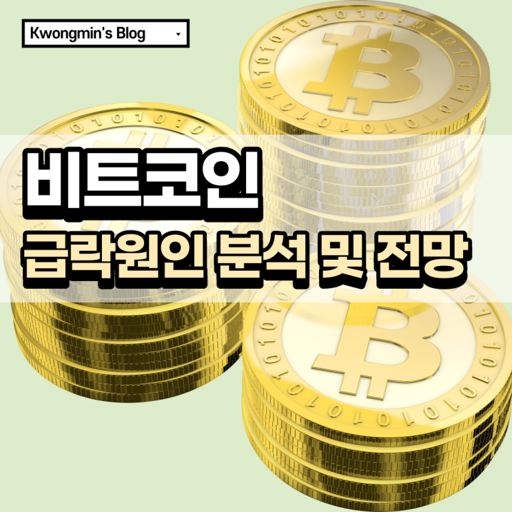  비트코인 급락원인 분석 및 전망