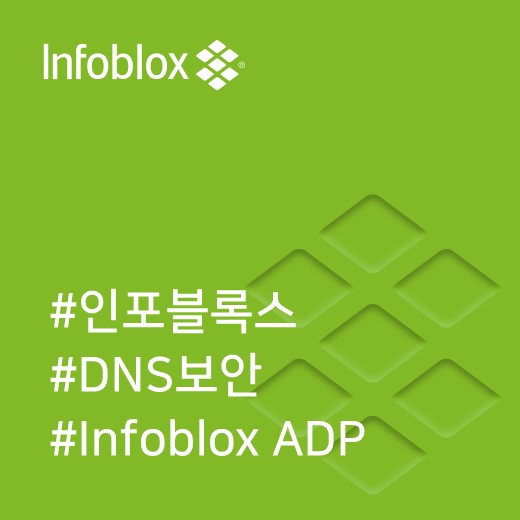  [인포블록스] DNS와 Network-Flood 위협에 대한 자세