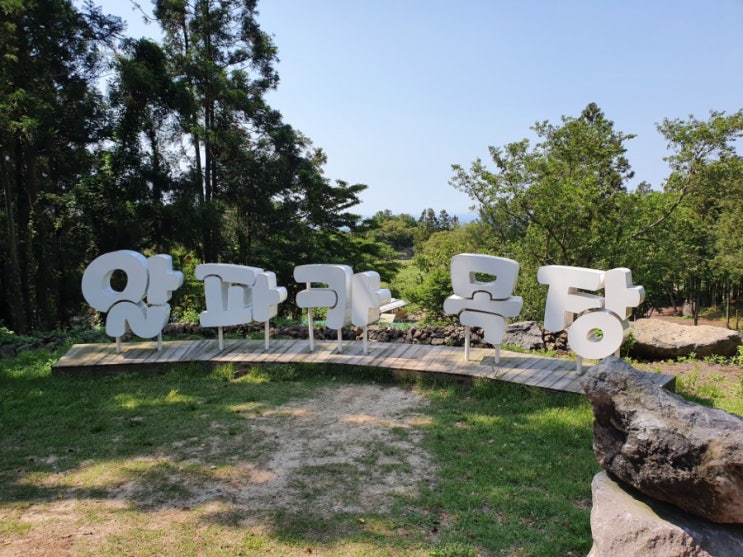  (제주살이)제주 도치돌 알파카목장 방문? 잠깐만!