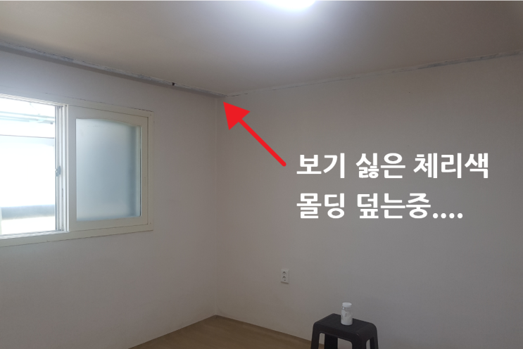  5월 일상이야기 #6 #계속되는 이사준비...