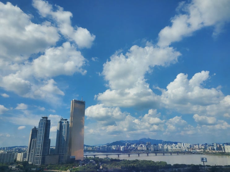  [일상] 스승의 날과 공부