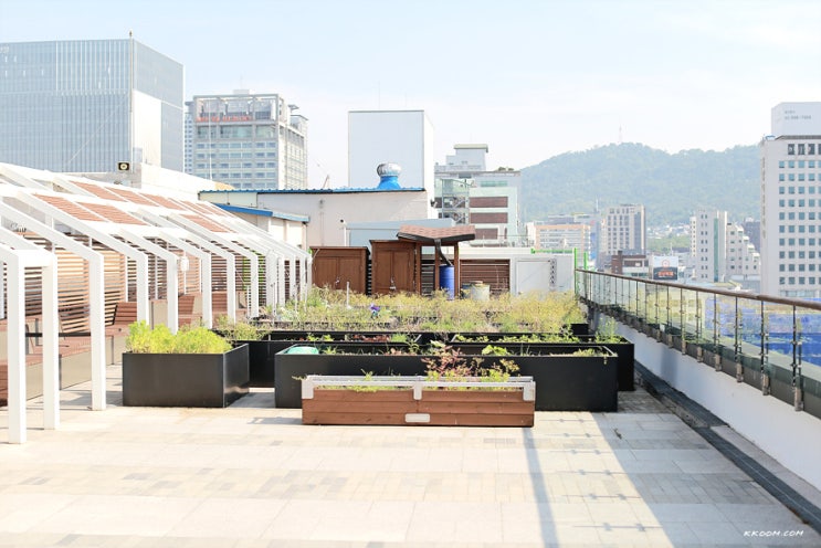 서울 청계천, 세운상가/옥상전망대, 종로 골목길 걷기 서울 청계천, 세운상가/옥상전망대, 종로 골목길 걷기