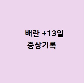  생리예정일 하루전 그리고 그 이후