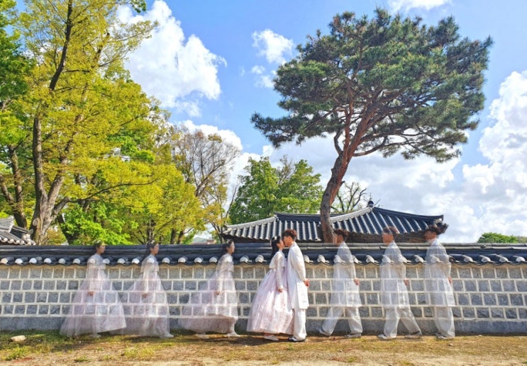  전주 한옥마을, 경기전부터 best 6 포토존 위치까지!