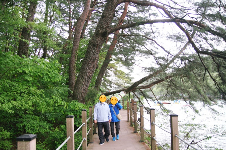 당일치기여행 산정호수/어른 아이 부모님 함께가기 좋은곳!!!