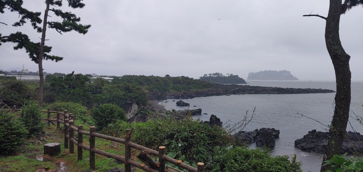  제주도 가볼 만한 곳 켄싱턴리조트제주/  강정천