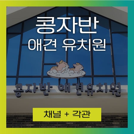 사진 5