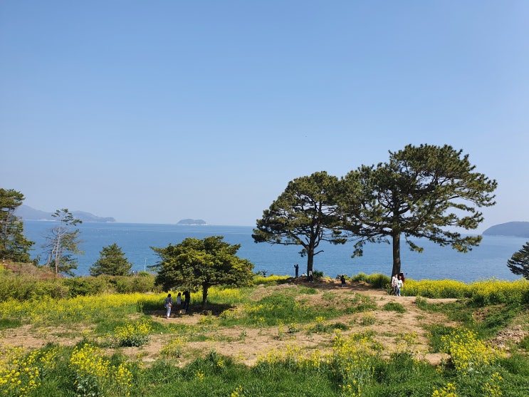  [거제도 여행] 거제도 드라이브: 가덕휴게소, 몽돌해변, 바람의언덕 등