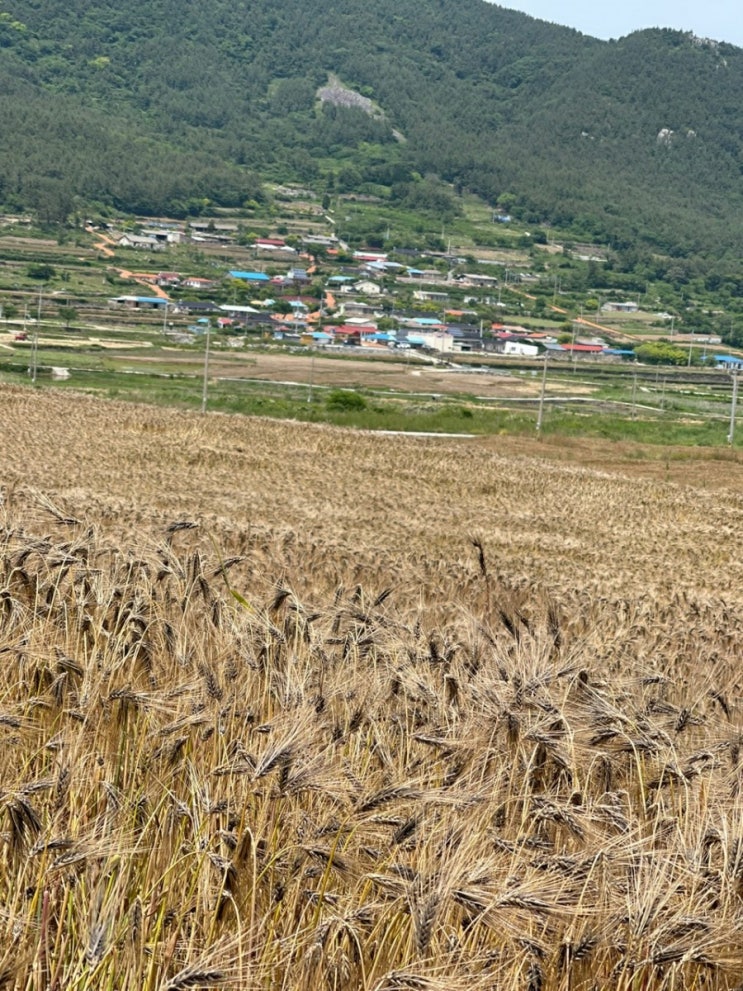  오늘의 절기