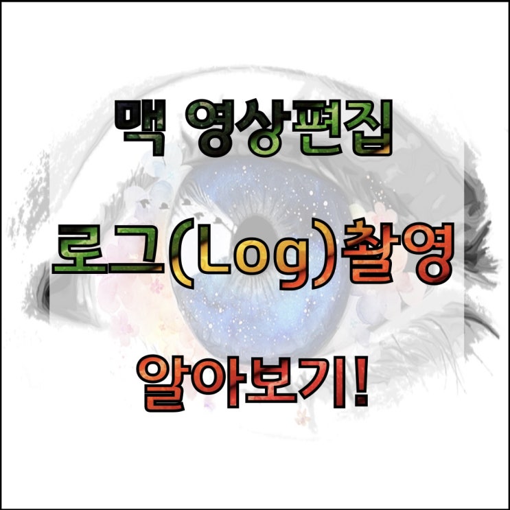  맥 영상편집 : 로그 촬영 알아보기
