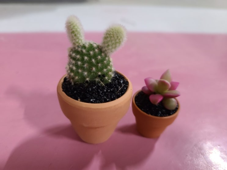  블챌 오늘일기와 함께 시작하는 금주 선언! 홈술 끊기! 고현정 백상예술대상 다이어트 성공 날씬한 모습을 본보기로!!