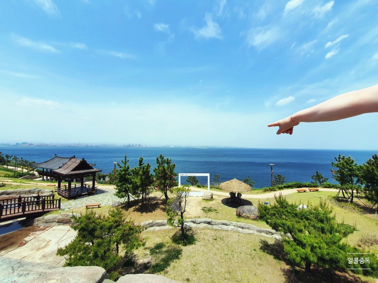  포항 투어  연오랑세오녀테마공원+포항죽도시장(21.05.07)
