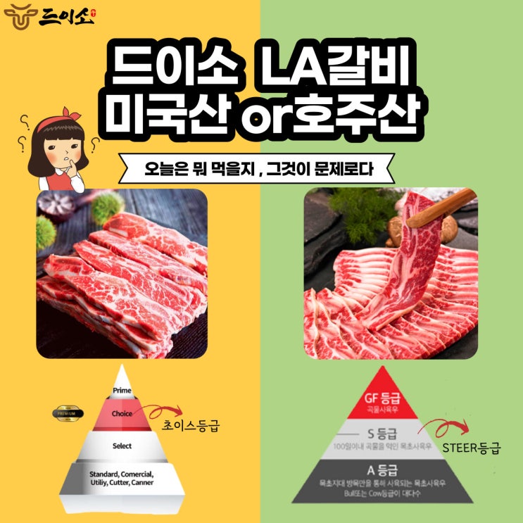  <드이소> LA갈비 [미국산or 호주산] 오늘은 뭘 먹을지 그것이 문제로다