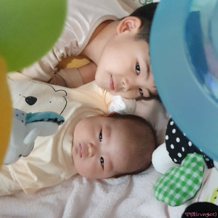  [parenting diary] 잘 놀아주는 예쁜 형아