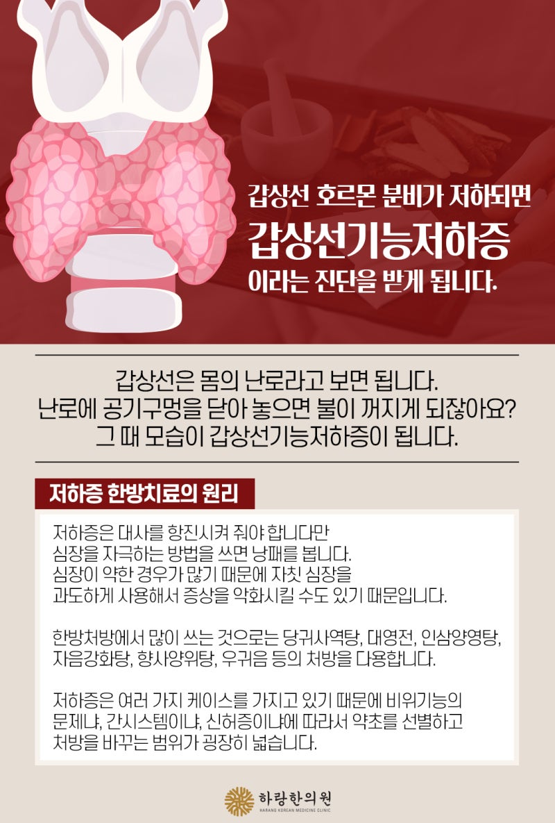 갑상선 다이어트와 비만에 대해 자주 묻는 질문 Top5