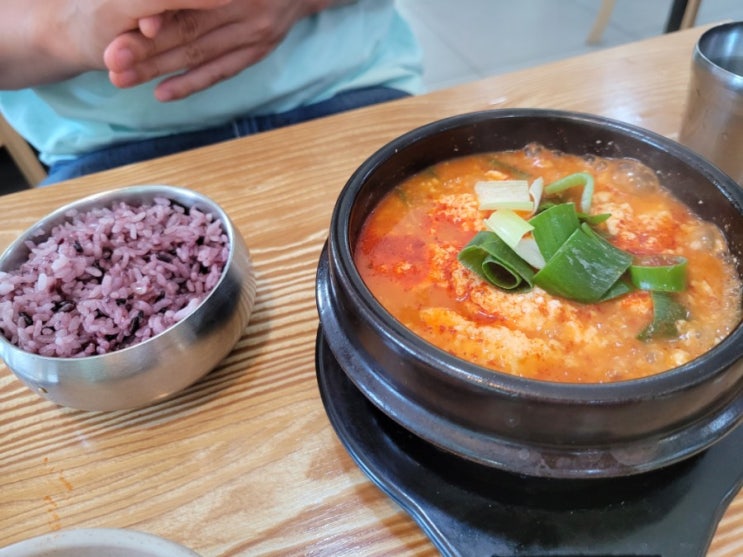  예술의전당 백년옥 순두부 뚝배기와 팥죽 그리고 피카소전