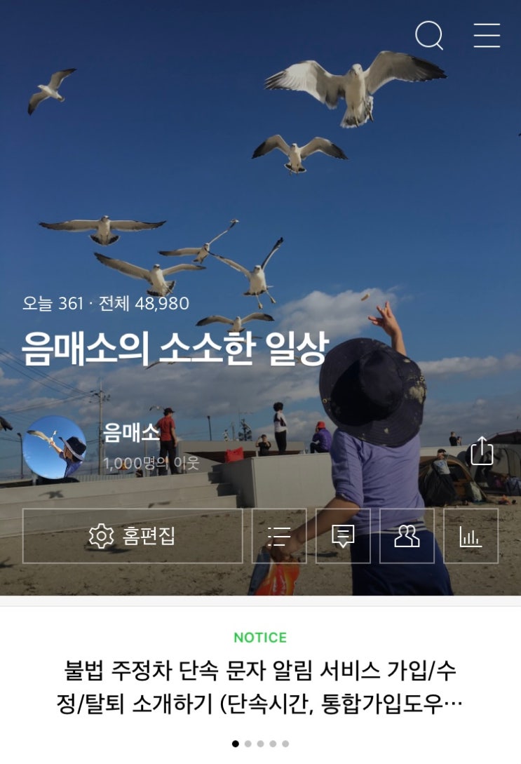  음매소의 블로그 4달, 이웃수 1000을 넘다 (웨어이즈포스트, 글 내보기 서비스,  예약발행, 애드포스트 도전기)