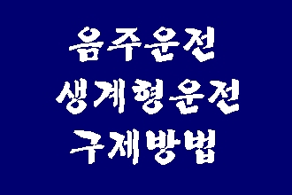  음주운전 생계형 운전자의 구제 방법