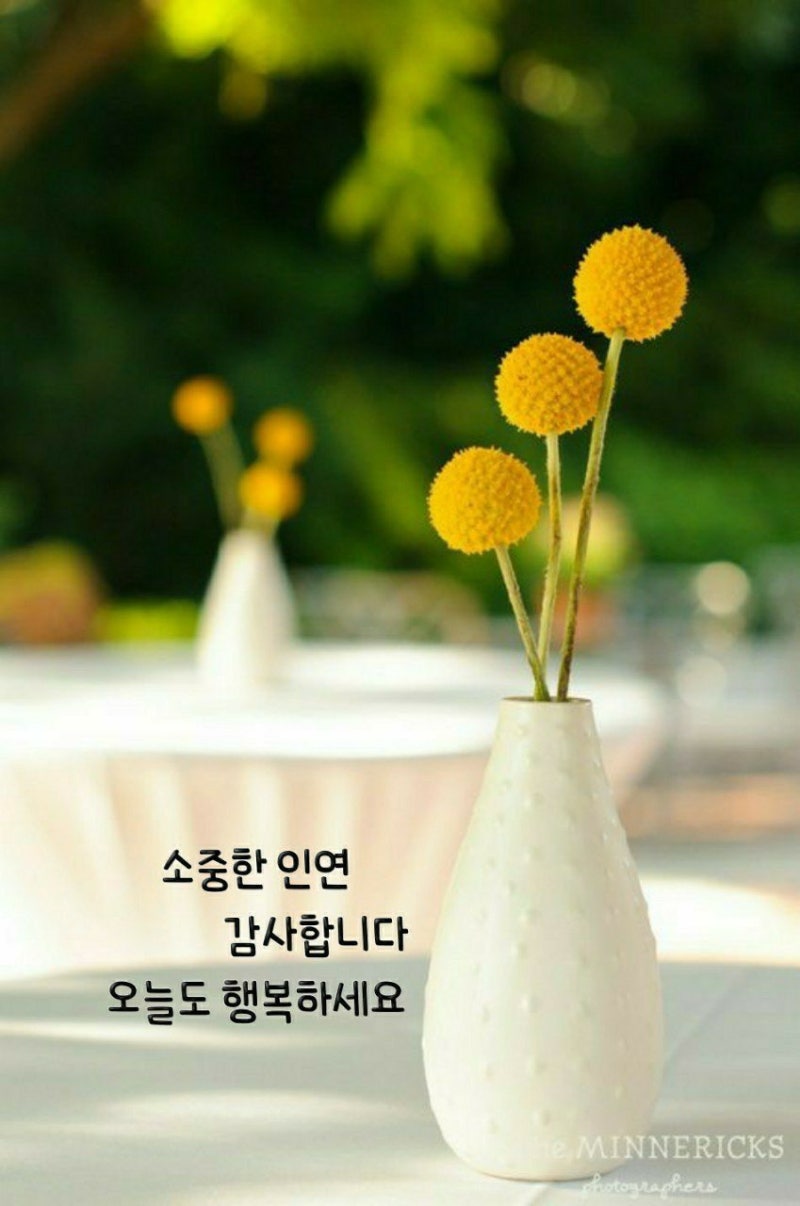 오늘은 어떤일이 ᆢᆢ : 네이버 블로그