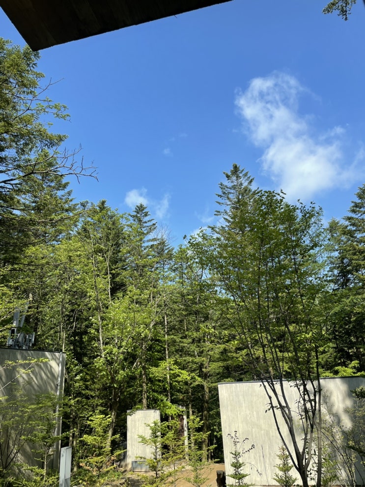  평창 밀브릿지 꼼꼼 후기 (가격, 조식, 준비물, 주차 등 오대산국립공원, 전나무숲, 강원도 펜션 추천)