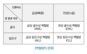  간호학 백혈병 정의원인 증상진단검사:악성질환 골수조혈세포 병태생리 문헌고찰