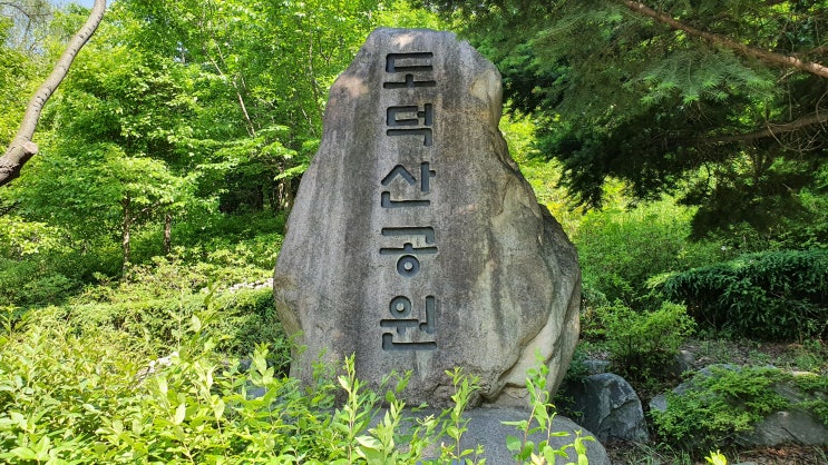  아이들과 도덕산유아숲체험장 다녀왔어요