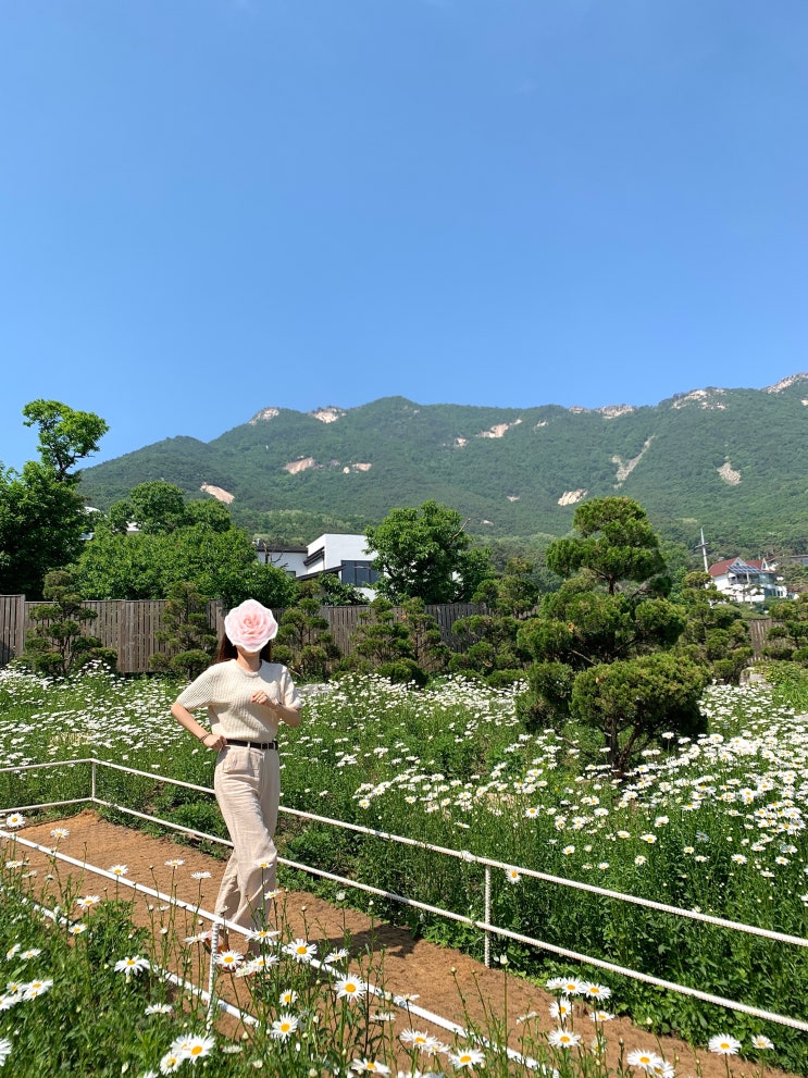  서울근교 강화도 당일치기 여행코스 힐링 드라이브