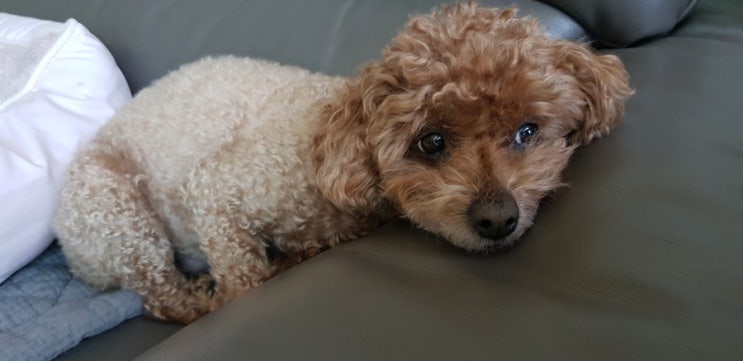  콩콩콩