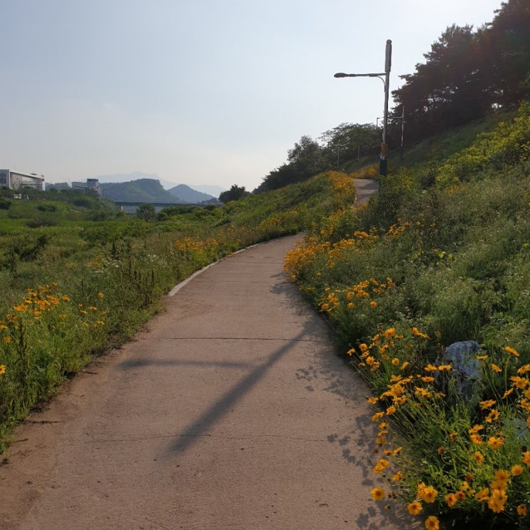  구미 가볼만한곳 산호대로 낙동강 가벼운 산책로