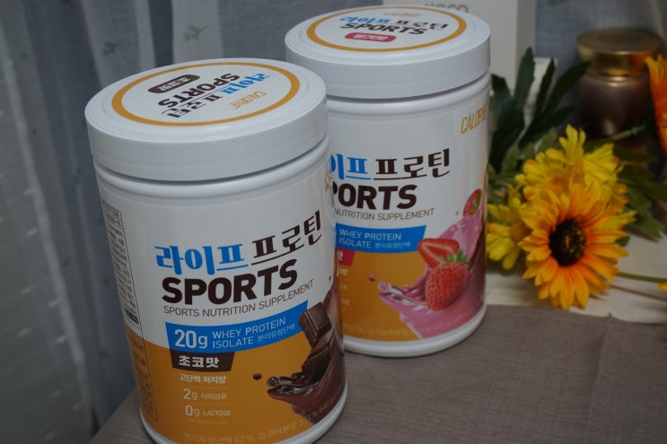  운동 산책 일상생활의 다이어트  단백질쉐이크가 필요할 때 단백질파우더 라이프 프로틴 스포츠