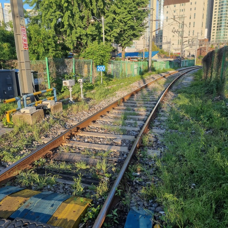  힛 어제 너무 예쁜 사진 찍음ㅋ