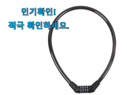  소유하고파 자전거 자물쇠 꿀템 친구들도 인정하네요