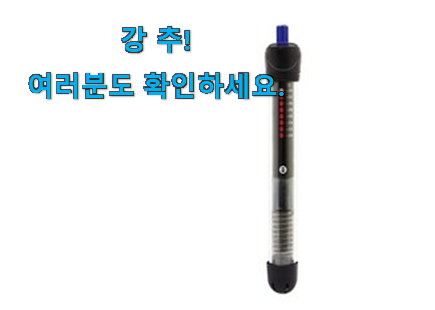 비교정보 수족관 히터 목록 와이프가 인정하네요 비교정보 수족관 히터 목록 와이프가 인정하네요