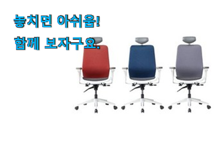 인기있는 듀오백 메쉬 의자 제품 이건 사야합니다 인기있는 듀오백 메쉬 의자 제품 이건 사야합니다