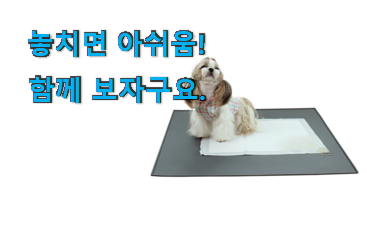 요즘유행 반려견 배변 매트 목록 남편도 인정하네요 요즘유행 반려견 배변 매트 목록 남편도 인정하네요