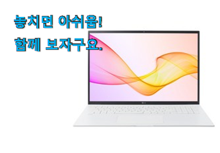 비교정보 lg 그램 물건 강추!