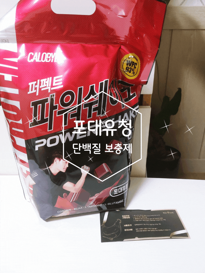 헬스 보충제 추천 하루 프로틴 퍼펙트 파워쉐이크로 가능해
