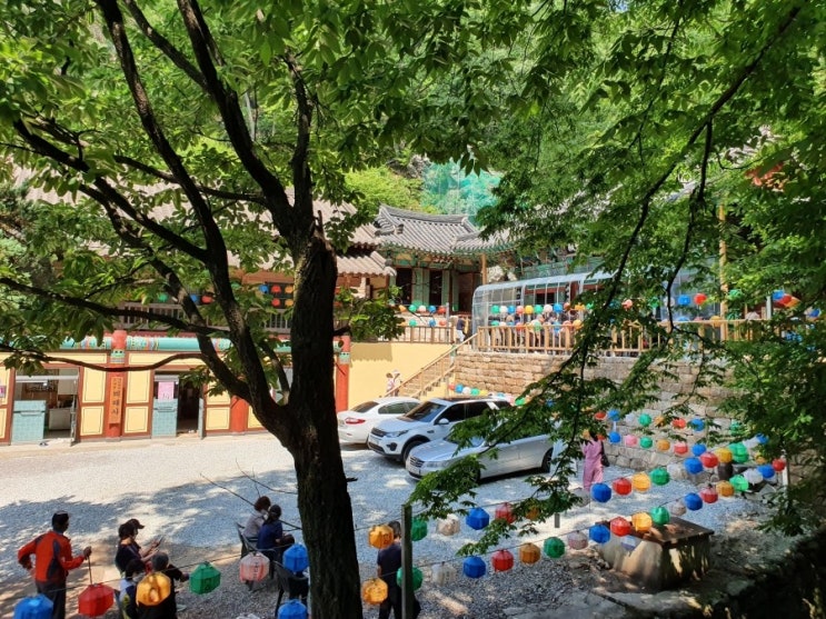  대전 계족산 등산 비래사 부처님오신날