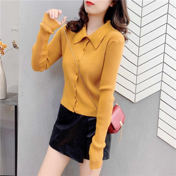 구매평 좋은 POLO 카라넥 여성 슬림 아우터 숏 봄가을 계절 추천해요 구매평 좋은 POLO 카라넥 여성 슬림 아우터 숏 봄가을 계절 추천해요